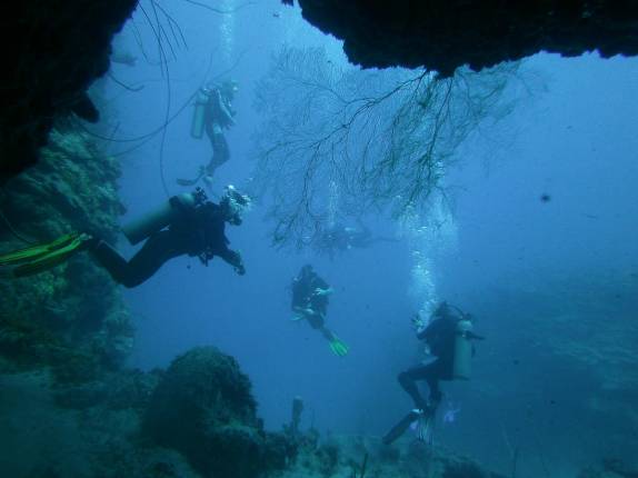 Mergulho com um grande grupo, em Utila, ilha no litoral norte de Honduras